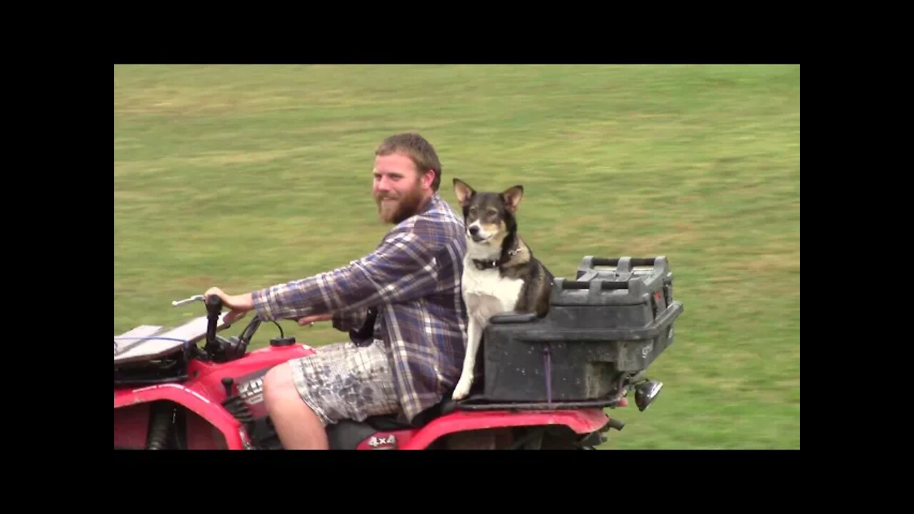 Flashback, Dina the dog Loves ATVs