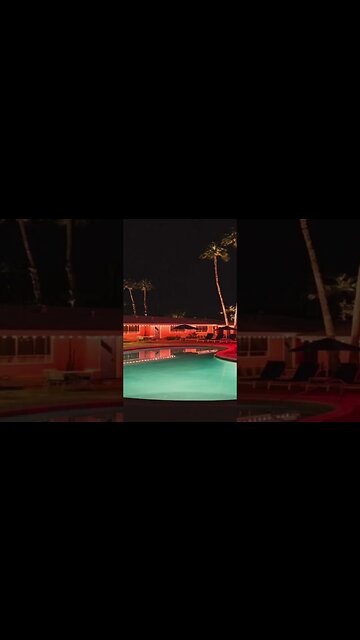 FREE Playboi Carti x Donnie Katana Type beat #pierrebournetypebeat #playboicarti #pierrebourne