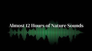 Serenity Nature Sounds | Background Sounds for Focus & Sleep | Almost 12 Hours of Bliss