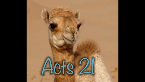 Read the Bible with me. Acts 21