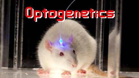 OptogeneticsOptogenetics - KILLUMINATI13420