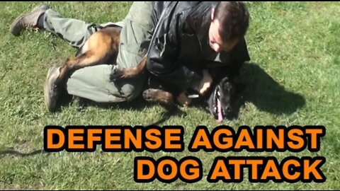 how to defend against a dog.self defense against dog attack