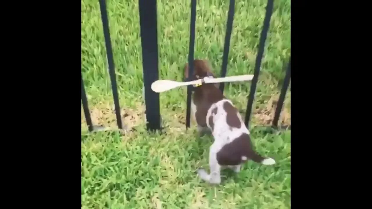 Sure my wife laughed at me but hey, it worked.