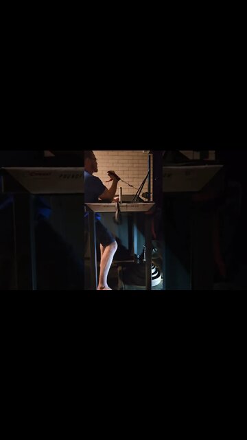 62.5kg Because I can