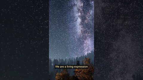 We Are An Expression Of The Universe 🌎