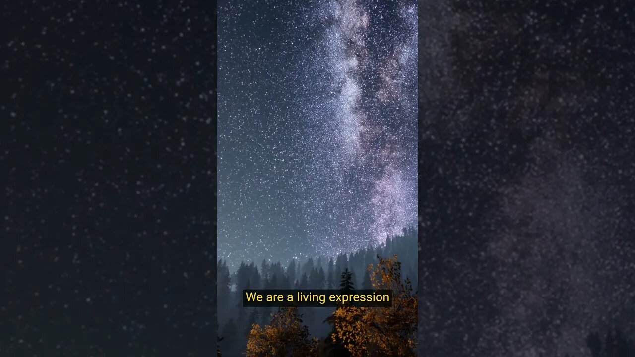 We Are An Expression Of The Universe 🌎