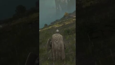 A Lot of People Said It Could Not Be Done #eldenring