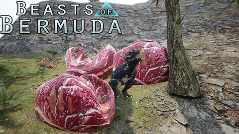 PACHY BULLDOZING RELOADED | Beasts of Bermuda