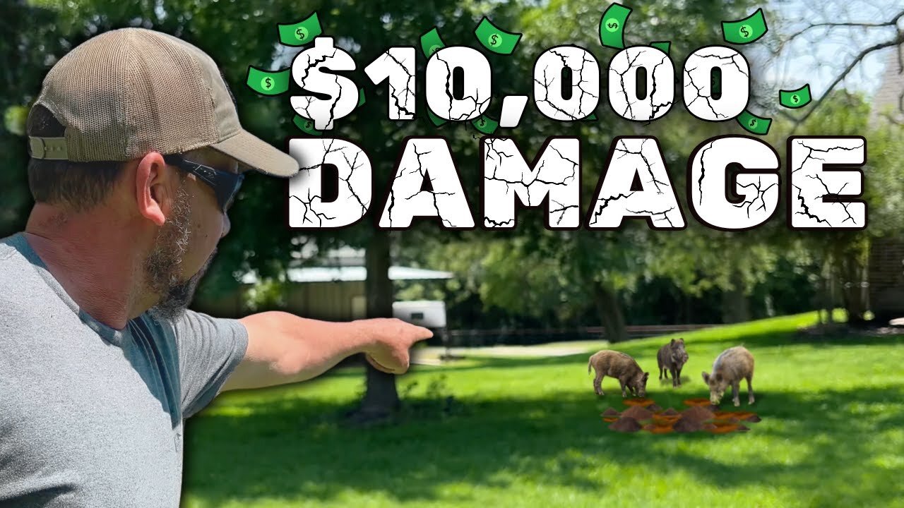 🤯$10,000k IN HOG DAMAGE!! | Land & Crop Protection