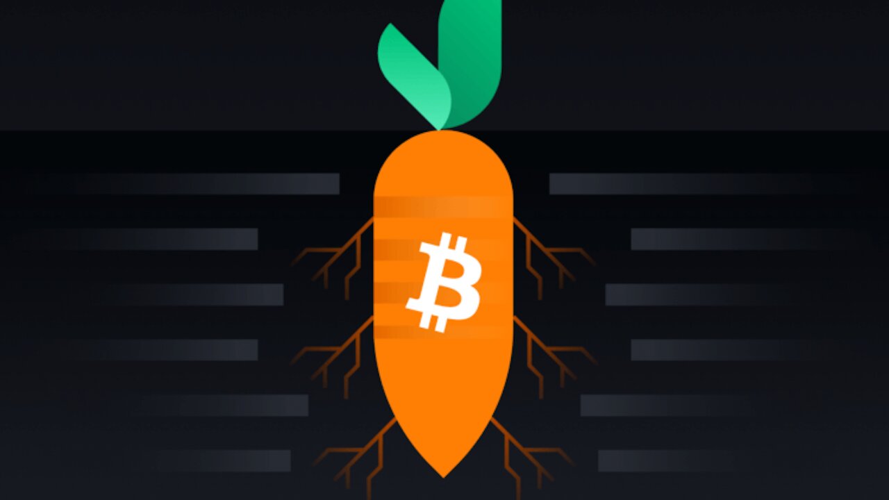 Taproot for Bitcoin will literally change your life