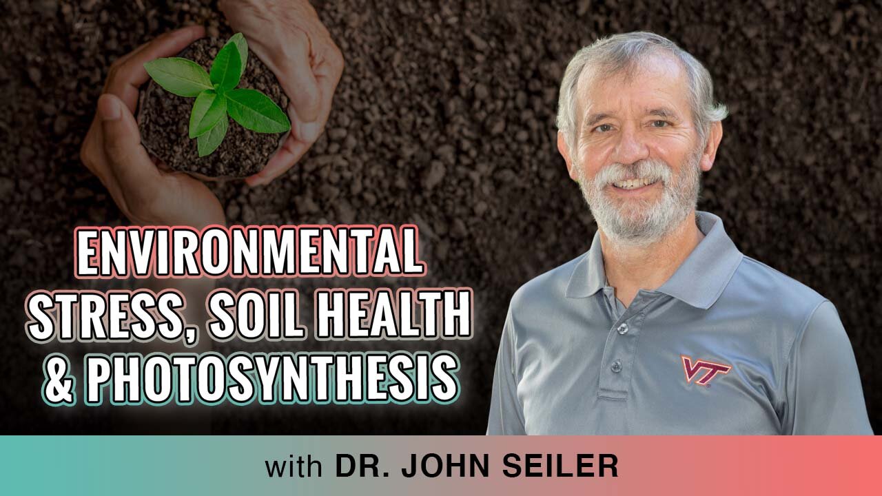 🌳 Tree Physiology 101: Dr. John Seiler On Environmental Stress, Soil Health, & Photosynthesis 🌿