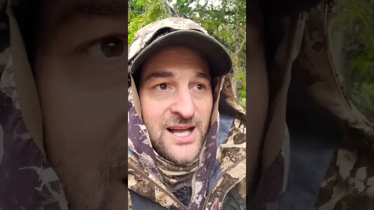 Top 3 Reasons You Miss While Hunting!