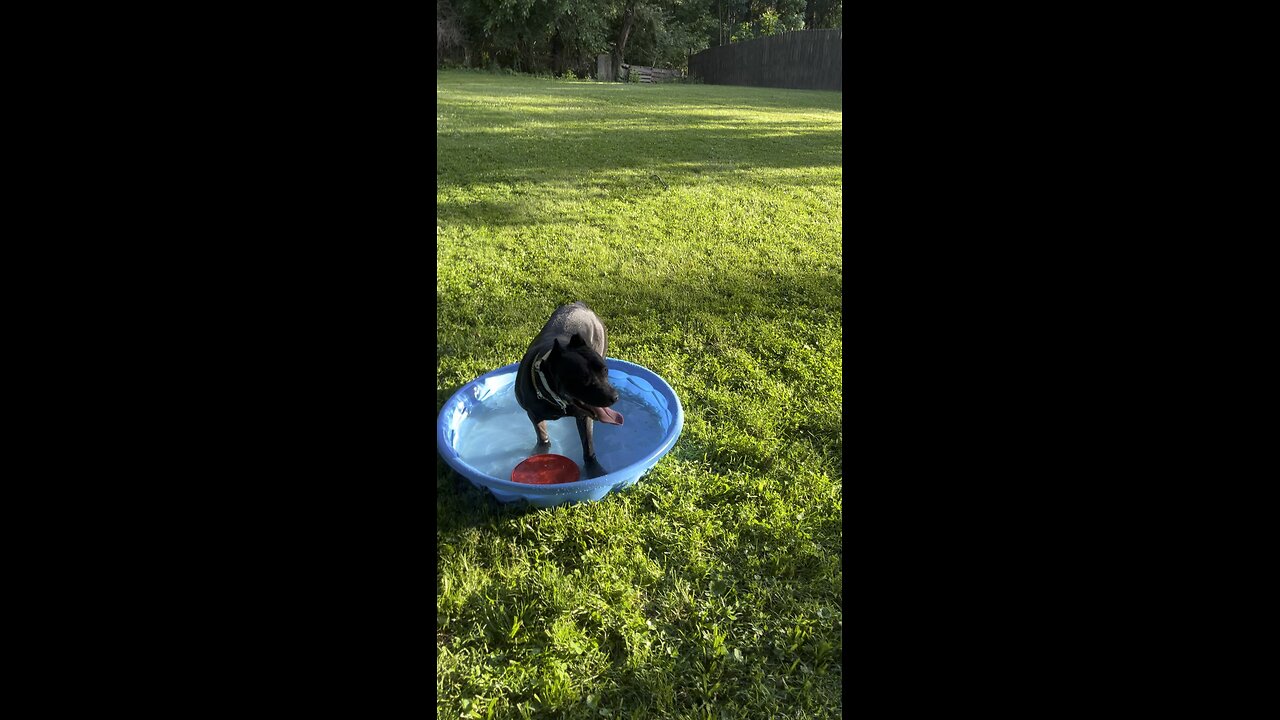 Magic frisbee session