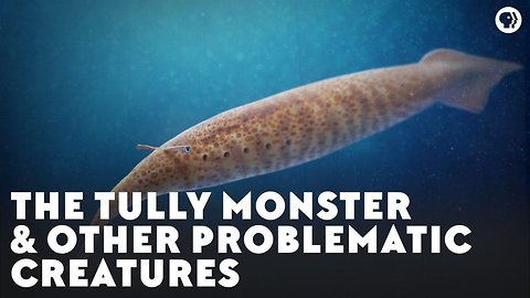 The Tully Monster & Other Problematic Creatures