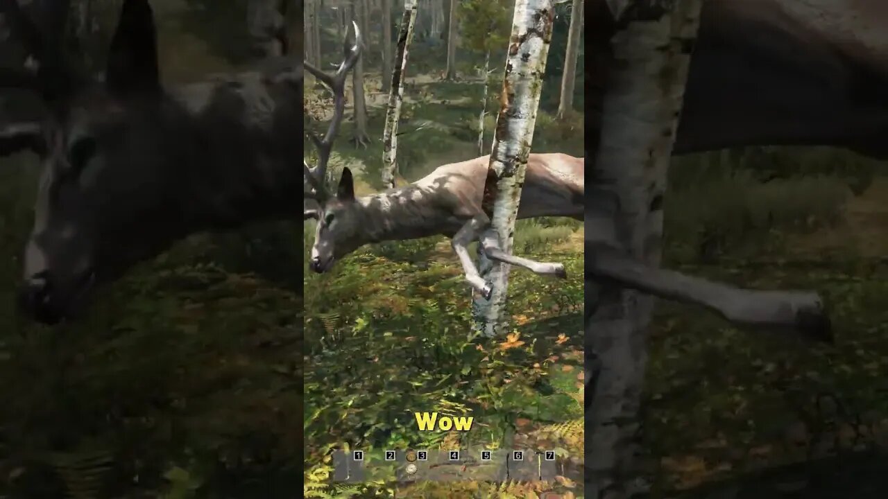 My First Elk Hunt Was A Little Weird - DayZ