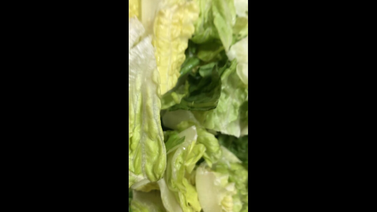 salad for supper,saturday night!