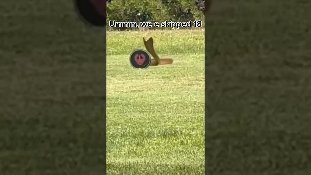 🐍 Damn King Cobra on the tee box. #golf #shorts #scary