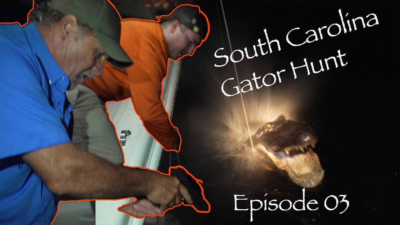 South Carolina Gator Hunt! Episode 03