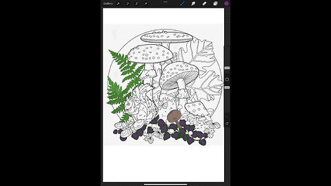 Mothership colors