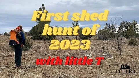 Shed Hunting 2023: Bones Found, But Not What We Expected!