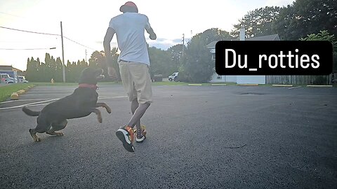 Durotties
