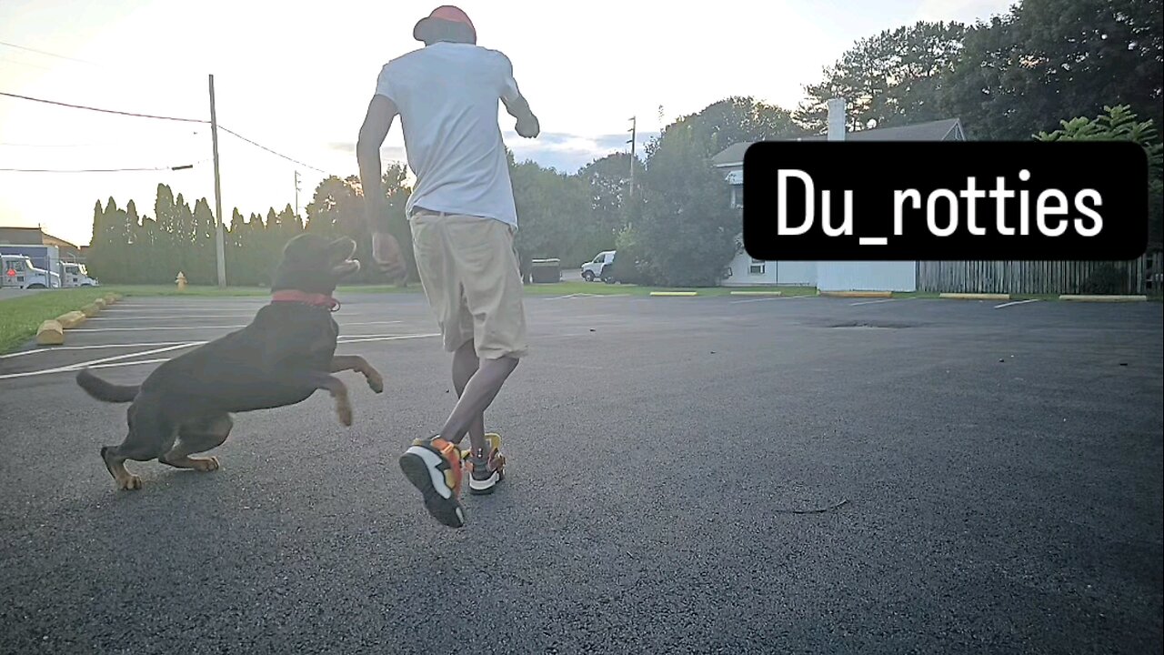 Durotties
