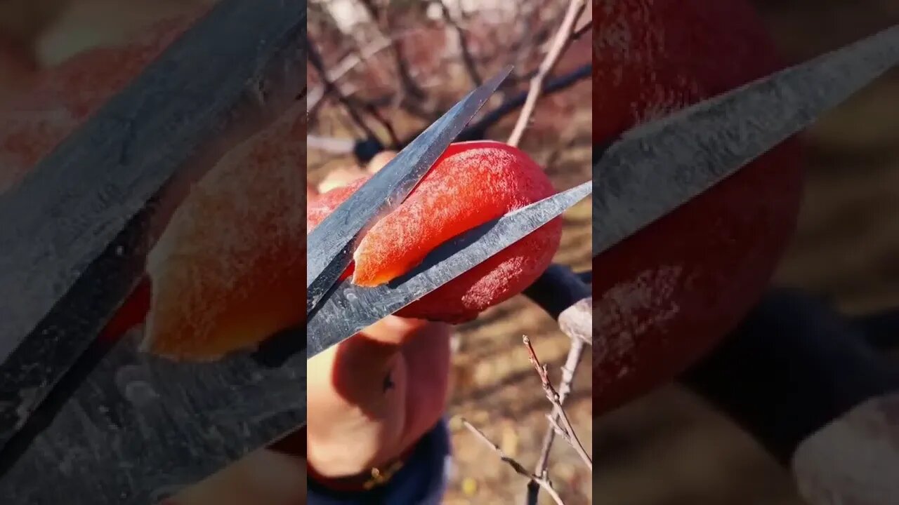 #Satisfying #fyp #oddlysatisfying