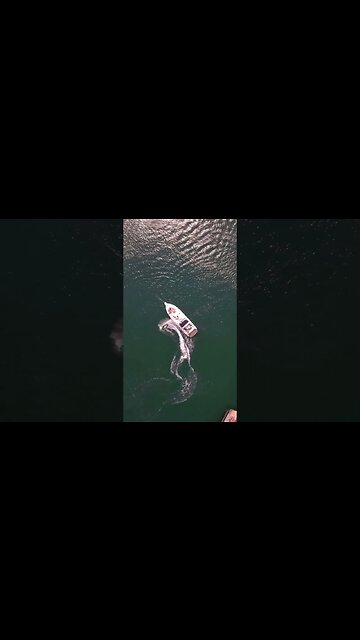 Yacht Party In Toronto, Canada