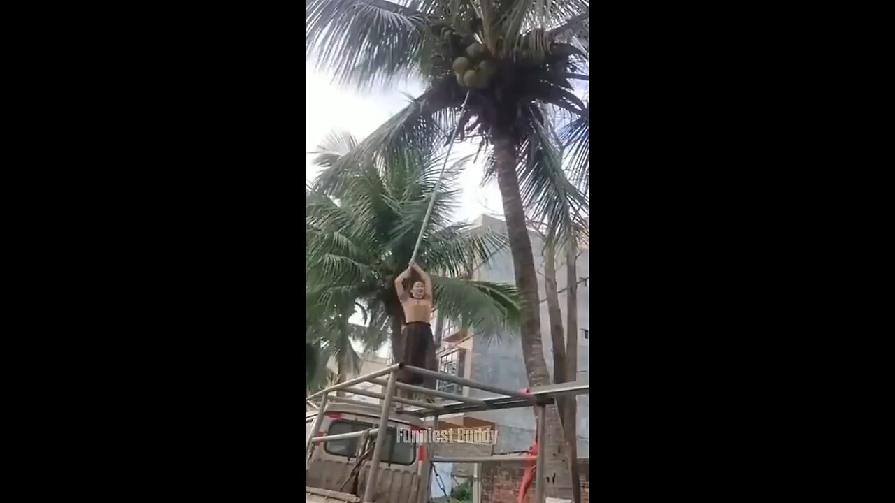 funny video, funny video moment