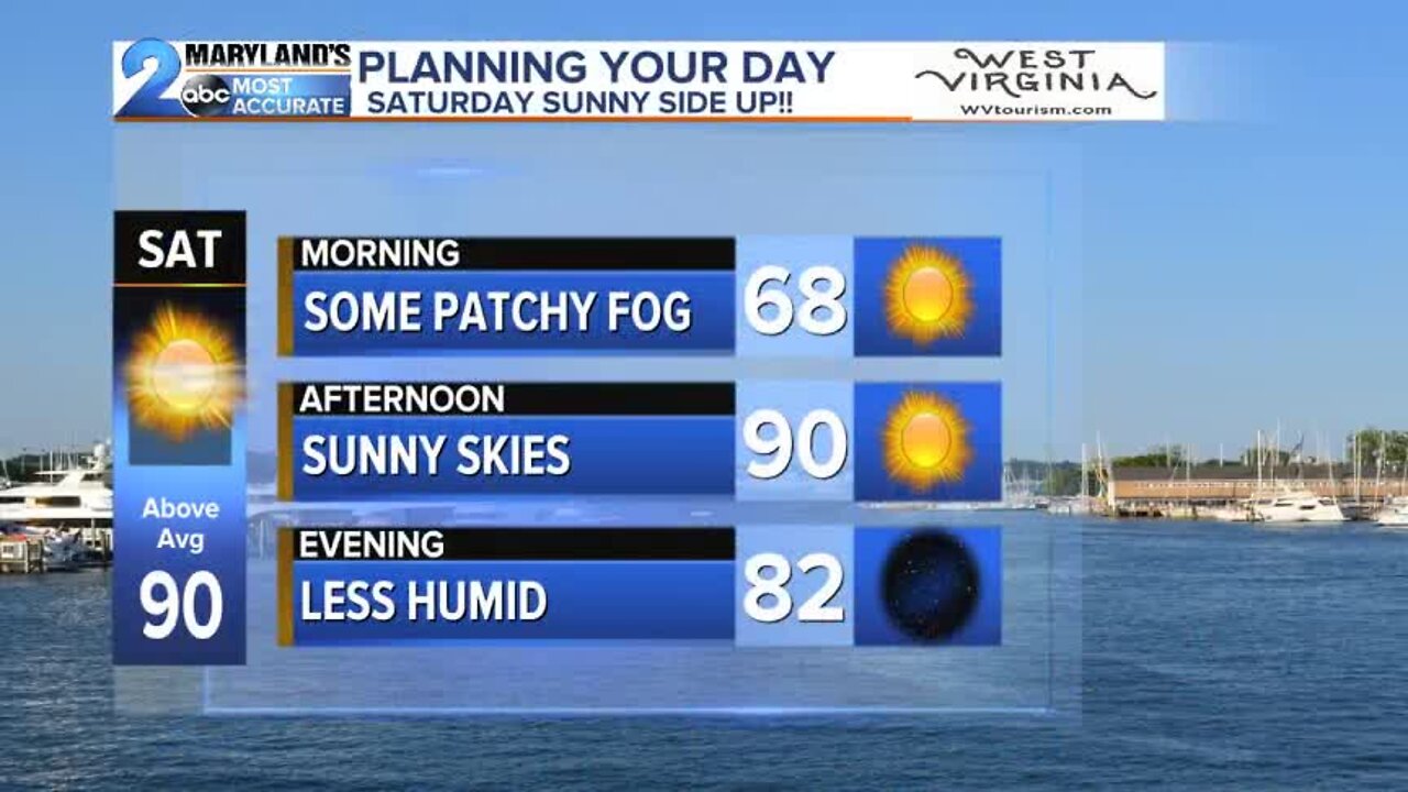 Sunny Summer Weekend Ahead