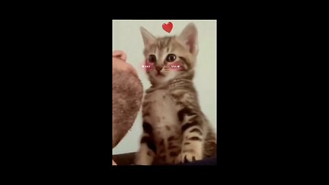 This is mika anytime i show her affection