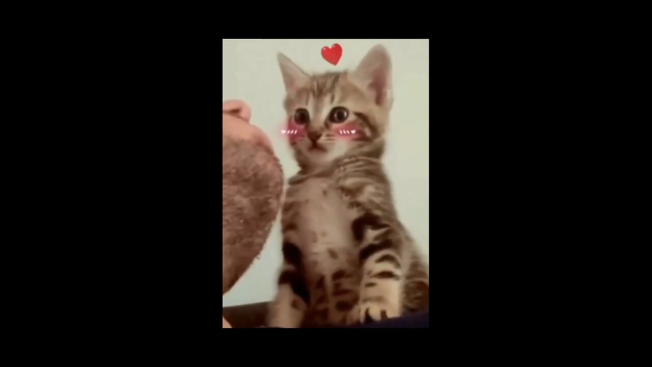 This is mika anytime i show her affection