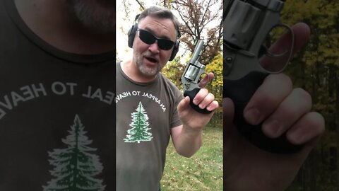 Cheap Fun with .22 Short and an 8-shooter