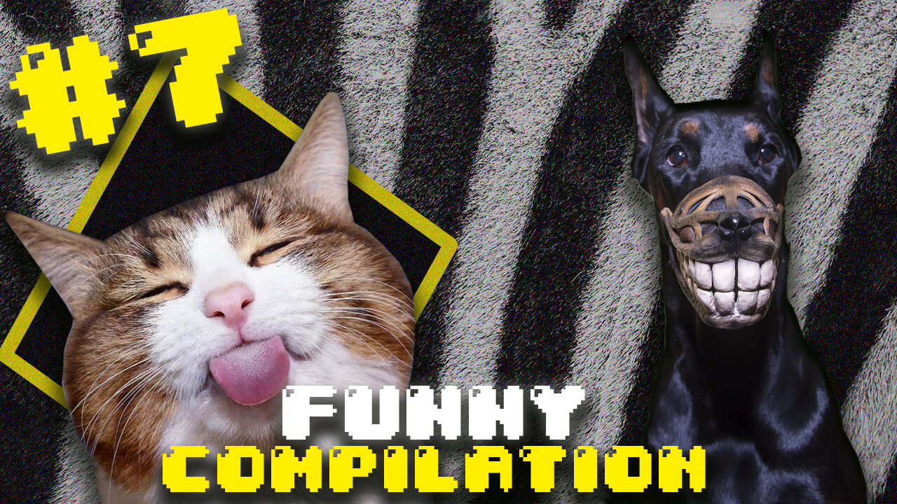 Compilation of cute and super funny animals, try not to laugh #7
