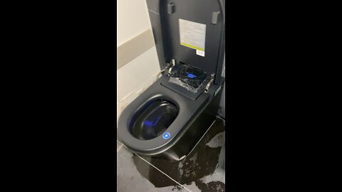 Black smart toilet, and wall hung marvel sink.
