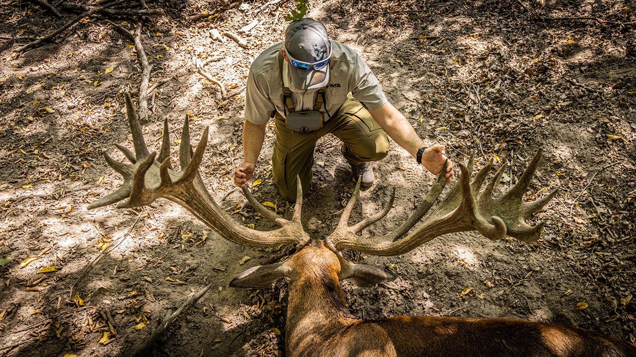Giant Red Stag in Hungary | Mark V. Peterson Hunting