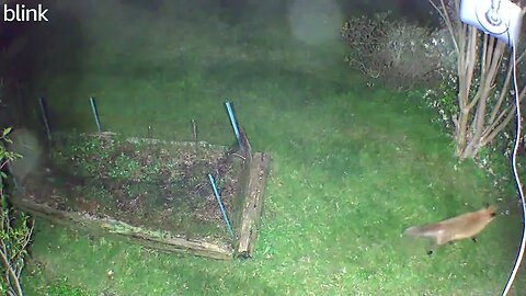 2_EAST_FLOODLIGHT_VIDEO_CAM_2023-05-04T22_32_23-0400.mp4