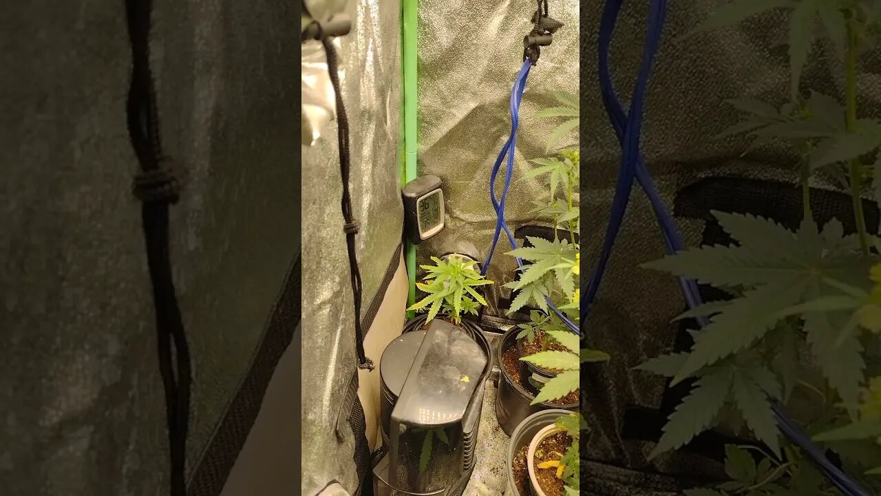 Update on the micro auto project 2x2x3