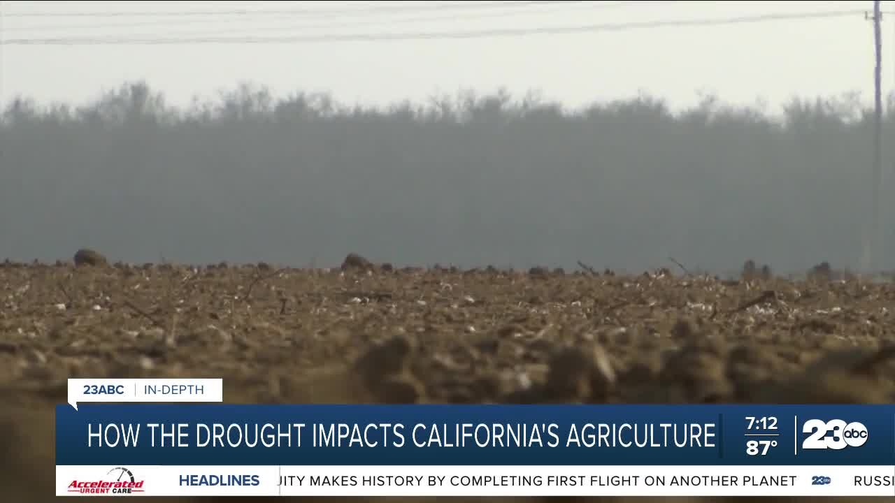 Keith Gardiner discusses drought impacts on agriculture industry