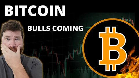 Bitcoin "Bulls Are Coming"