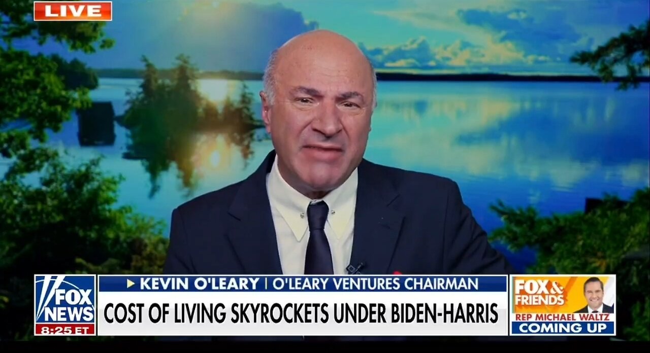 Mr Wonderful Kevin O'Leary: Kamala Needs To Explain Her Policies