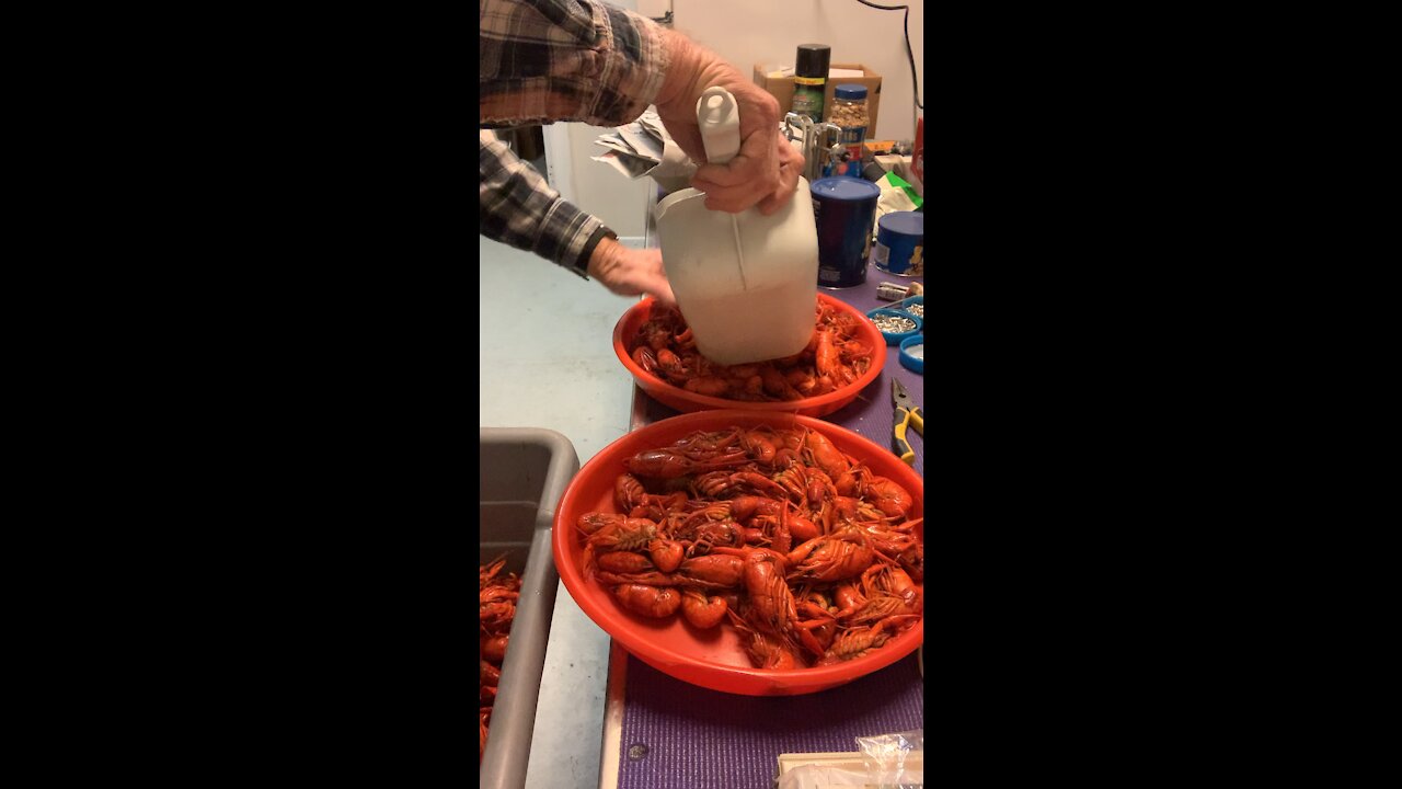 Boiled Crawfish 5th night in a row