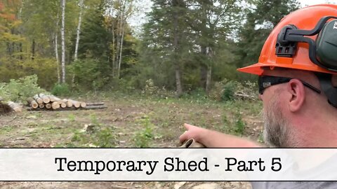 Temporary Shed - Part 5