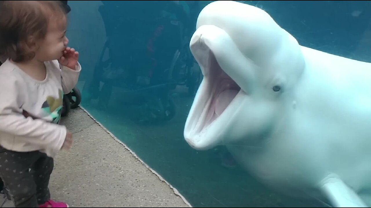 Funny Kids at the Aquarium 😱🐬🐬😱 #funny #kids