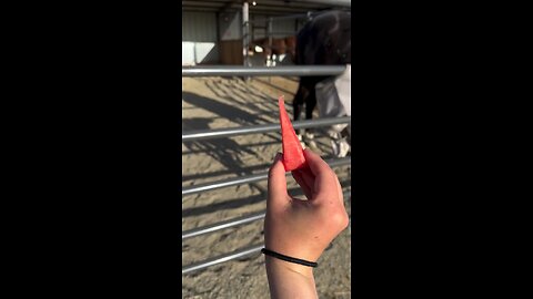 "First Watermelon Airplane Of The Season Follow For More Videos Have Virelreels Growaccount"...!!