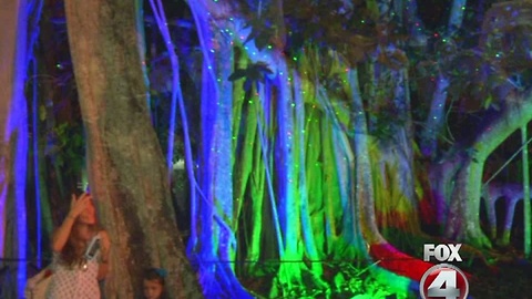 Edison ford Winter Estates Tree Lighting