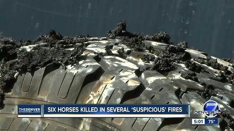 Six horses killed in several ‘suspicious’ fires overnight in Lakewood
