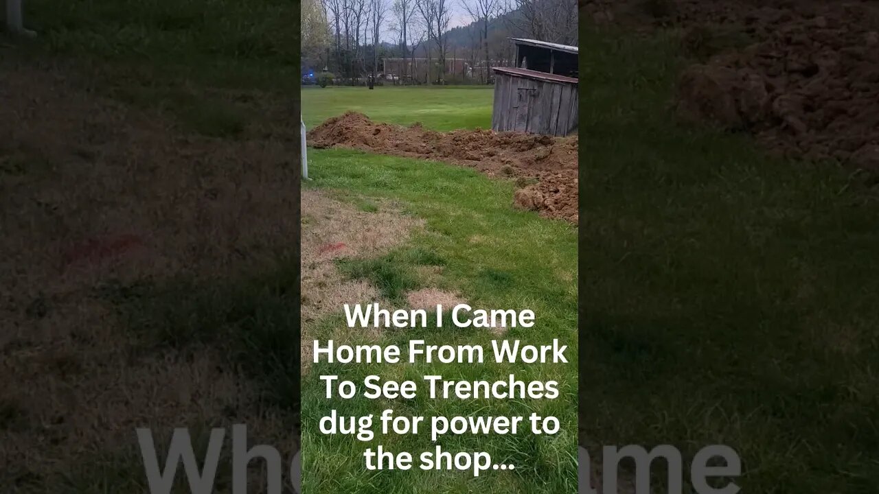 Hopefully the grass will come back quickly 😅😅😅 #carguy #vlog #diy #newshop #toystory #buzzlightyear
