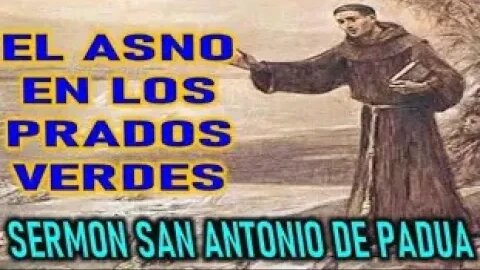 EL ASNO EN LOS PRADOS VERDES SERMONES SAN ANTONIO DE PADUA