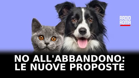 No all’abbandono degli animali: le nuove proposte